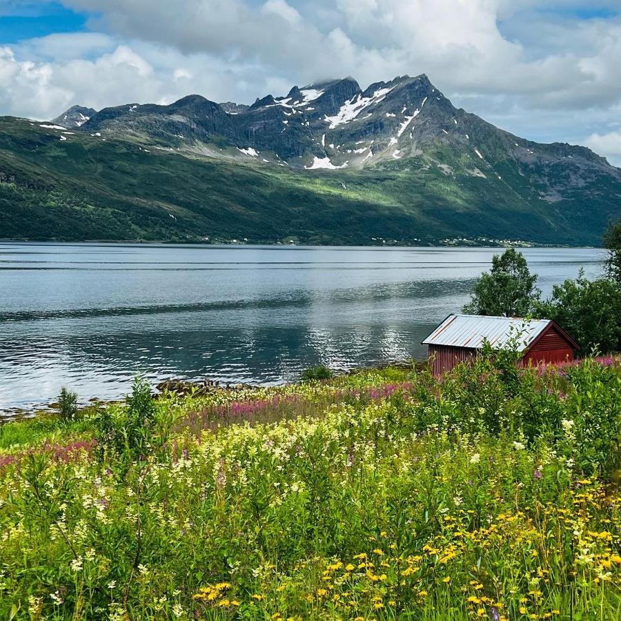 Apartmán Face Of North Gratangen Exteriér fotografie