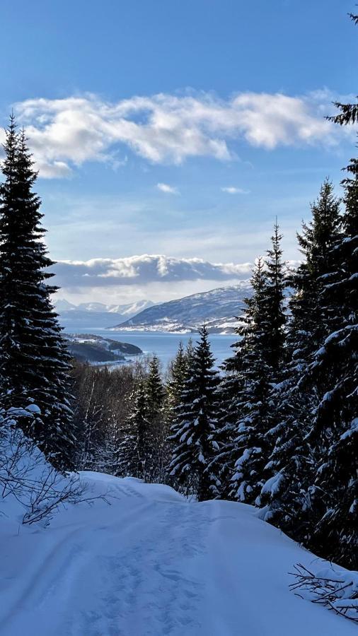 Apartmán Face Of North Gratangen Exteriér fotografie