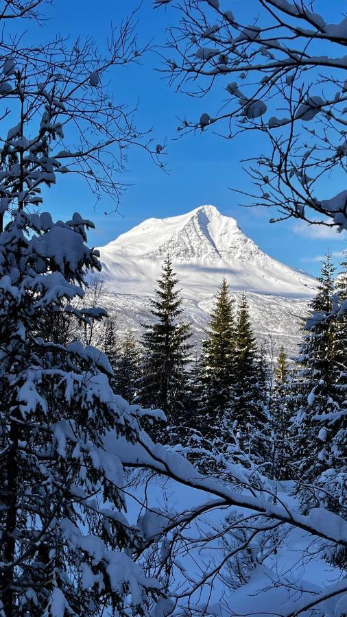 Apartmán Face Of North Gratangen Exteriér fotografie