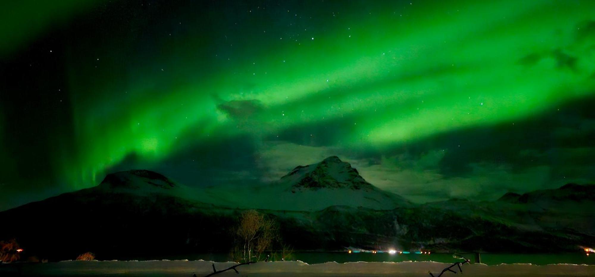 Apartmán Face Of North Gratangen Exteriér fotografie